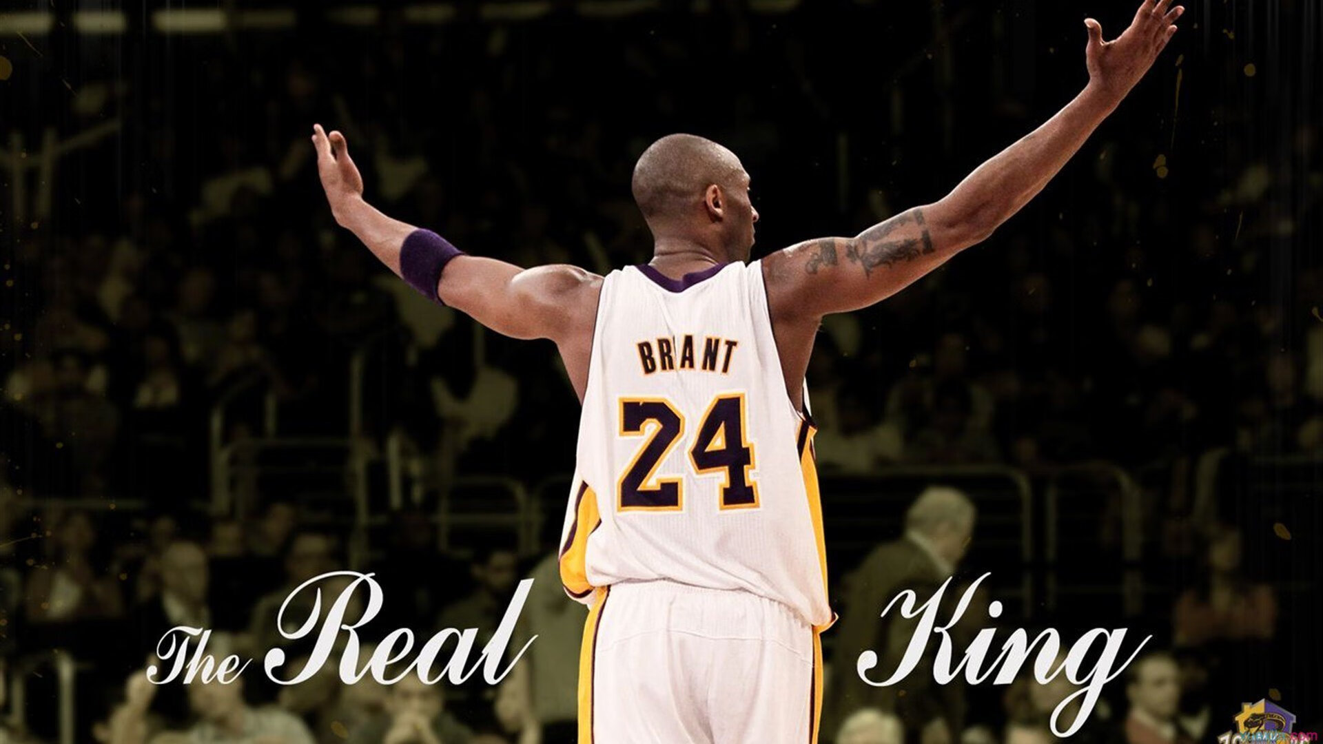 亚洲杯国足迎战 球迷热议球员表现,亚洲杯国足迎战 球迷热议球员表现如何