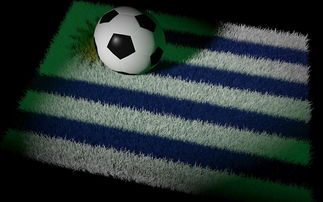 九游娱乐官网 (JIUYOU)-巴西足球队备战世界杯，状态火热，巴西足球 世界杯